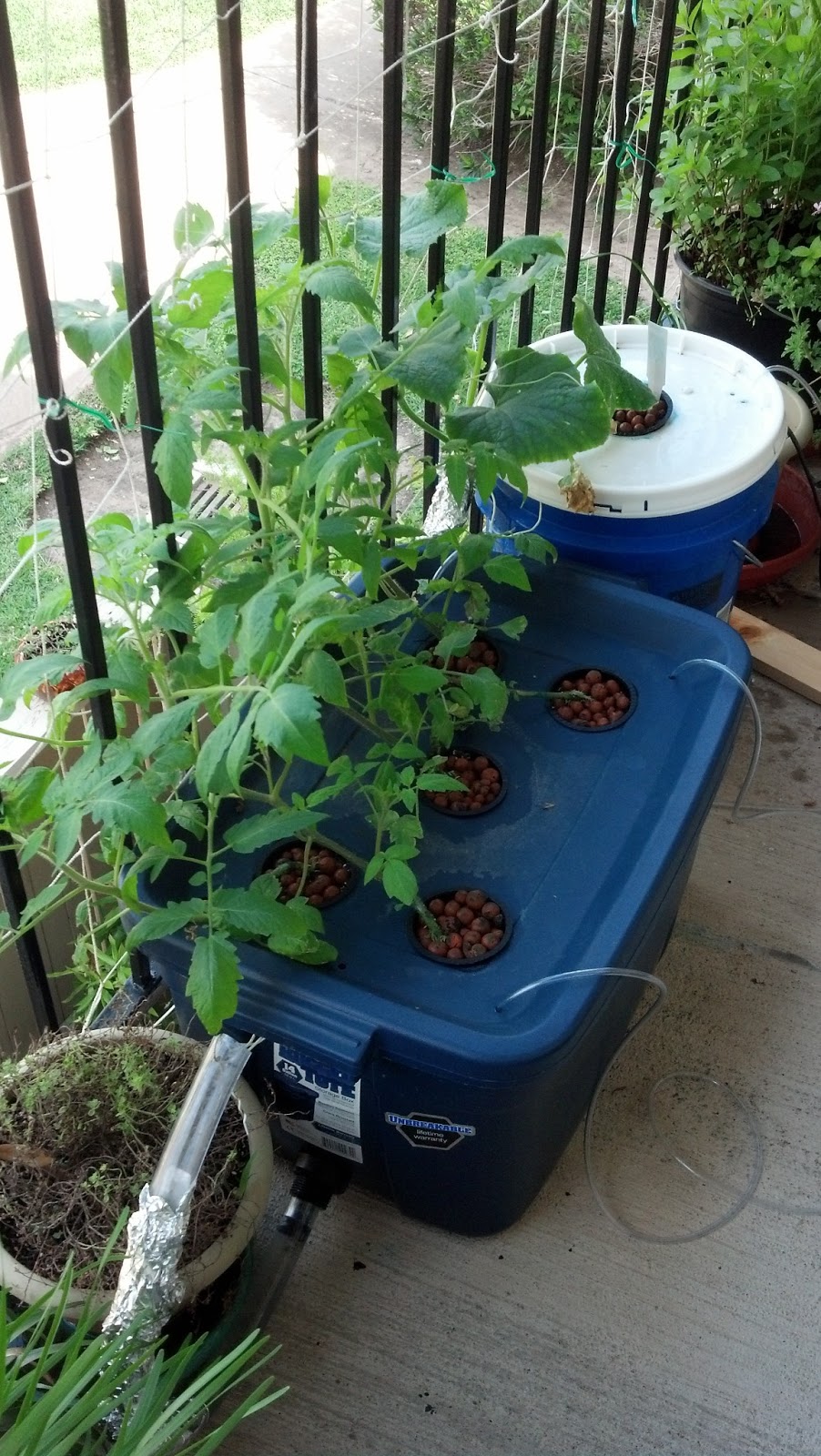 Yosef's Blog My Hydroponic Setup
