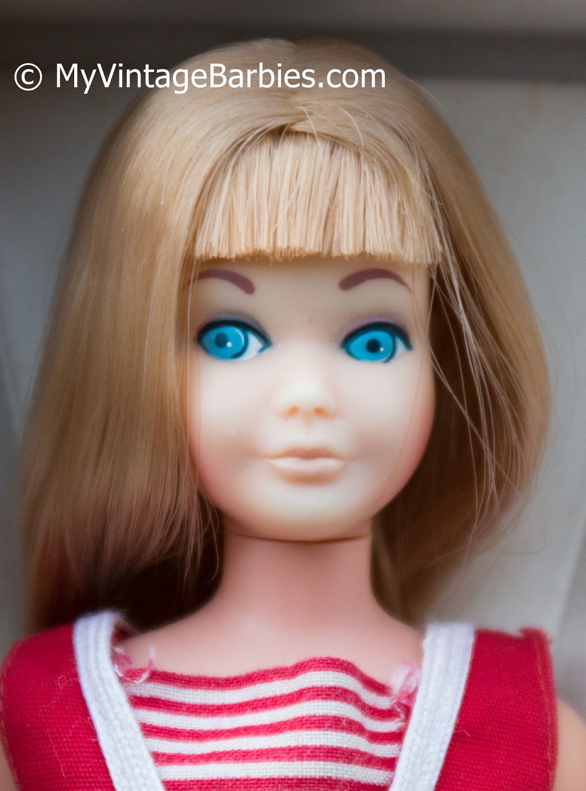 My Vintage Barbies Blog: Barbie of the Month: Reissue Skipper