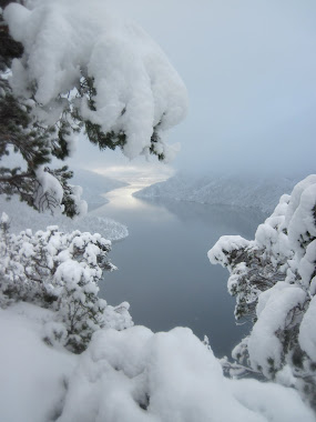 Okfjorden