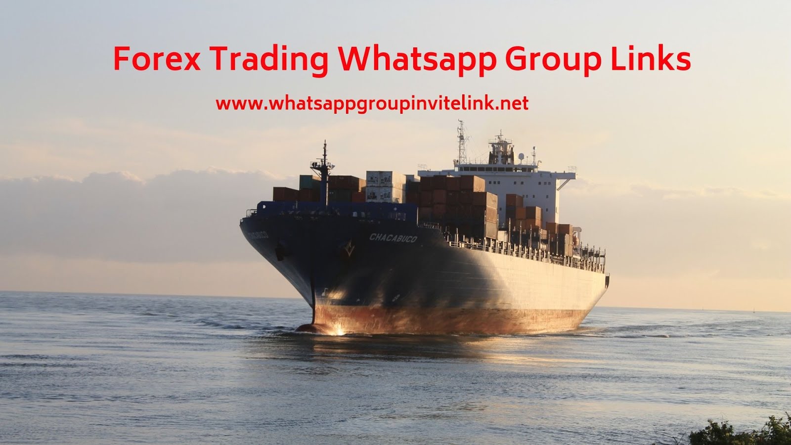 Forex whatsapp group