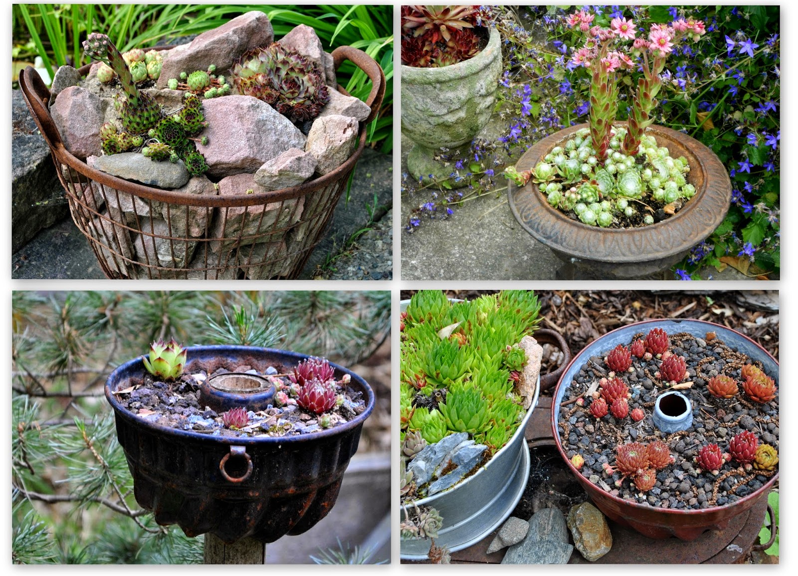 GartendekoBlog Jede Menge Ideen für den Garten