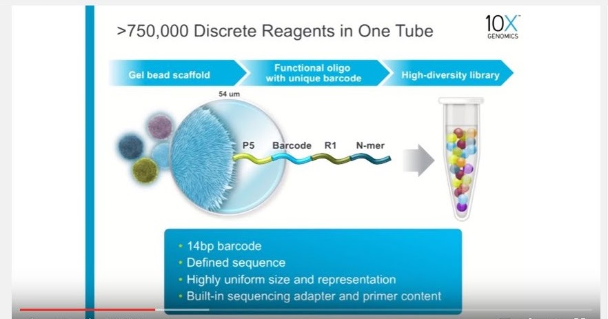 パックマンの挑戦 － PacBioシークエンサー: 「10X Genomics と PacBio」 どちらかを選ぶとしたら？