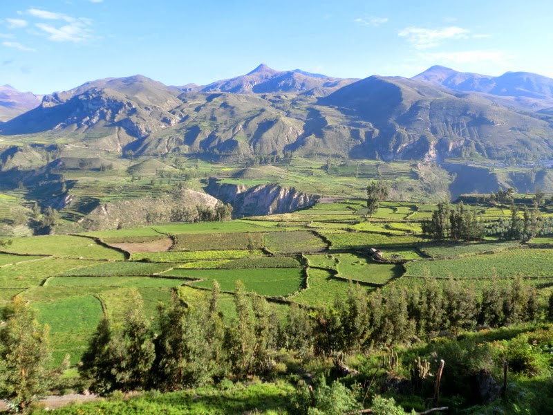 Cashibo - Peru: Colca-Tal und Colca Canyon