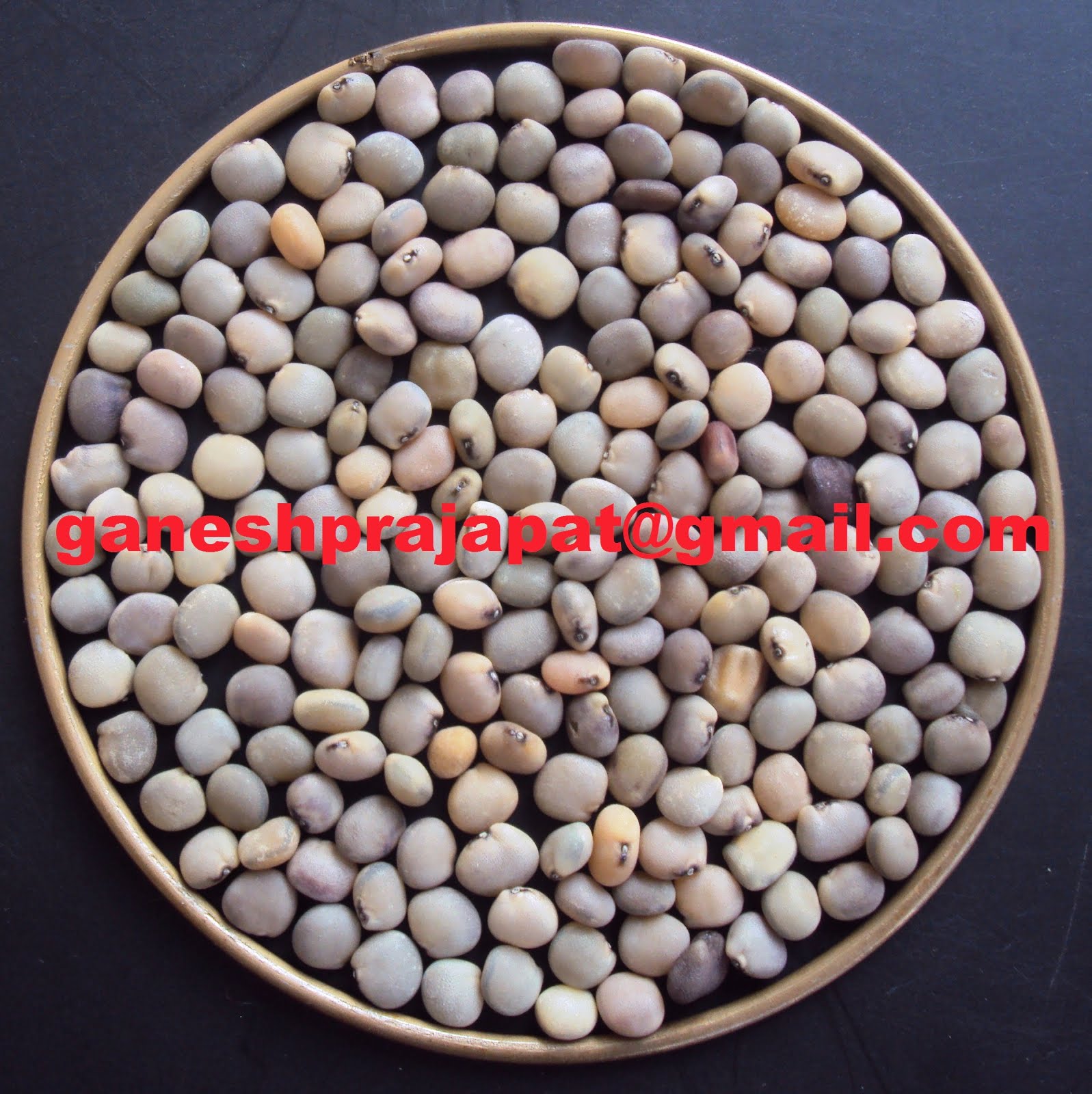 GUAR GUM INFORMATION AND GUAR GUM CULTIVATION IN INDIA Guar remained stable even arrival is