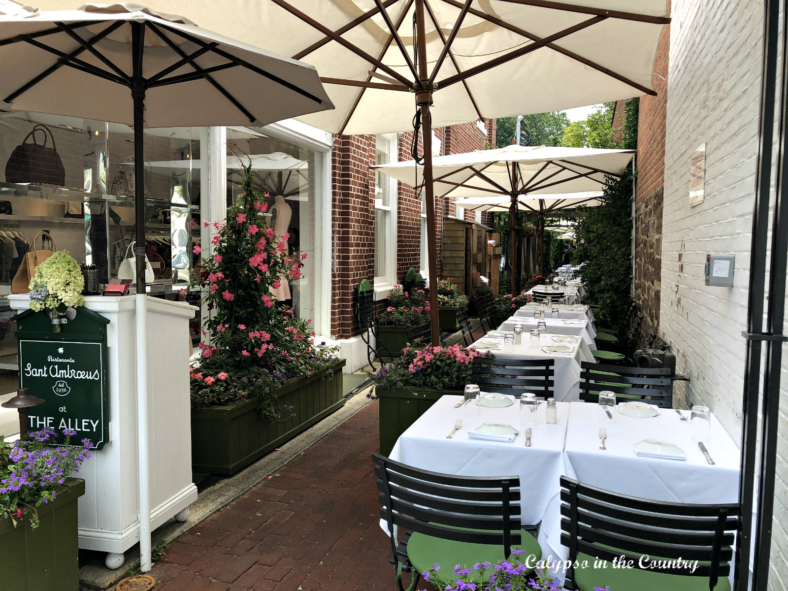Tables and umbrellas at outdoor restaurant in Southampton NY