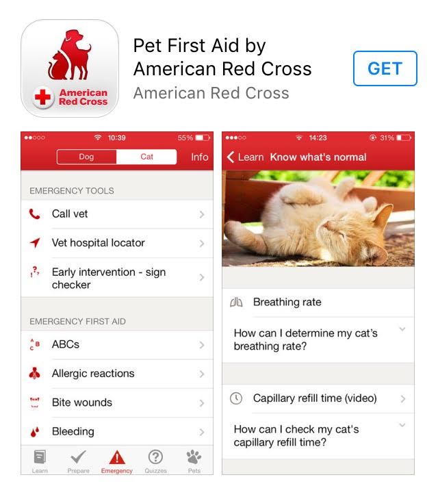 9 Items to Keep in Your Dog's First Aid Kit while Hiking Girl on a Hike