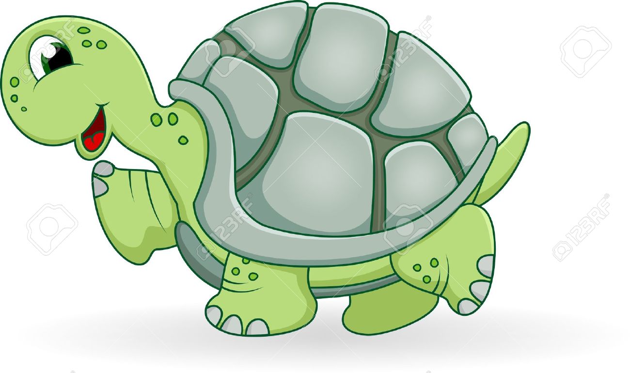 Черепаха картинка на белом фоне для детей