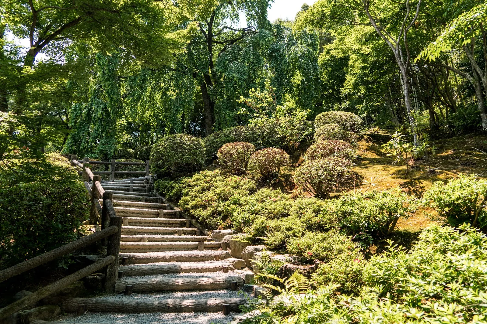 嵐山の木々が生い茂る公園の階段の小道