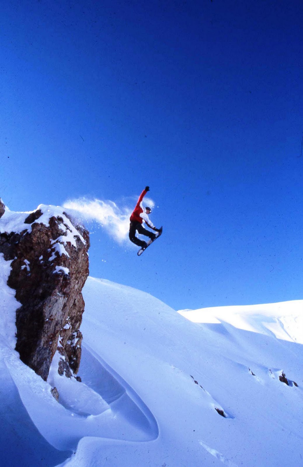 skateboard snowboard freebord longboard Snowboard