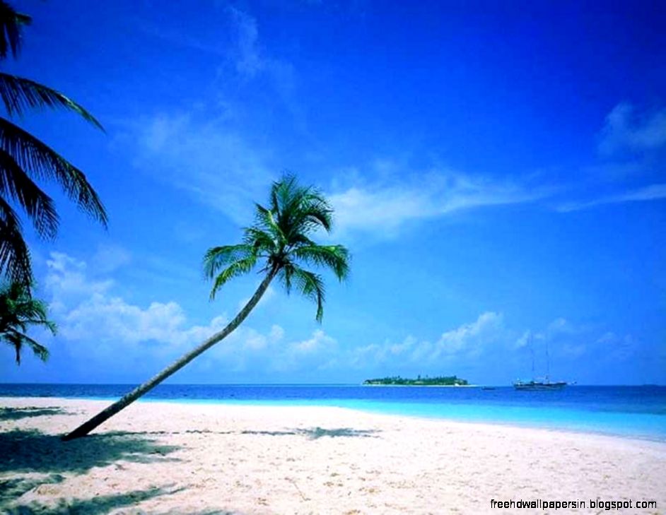 Summer Beach Scene Free Wallpaper for Desktop