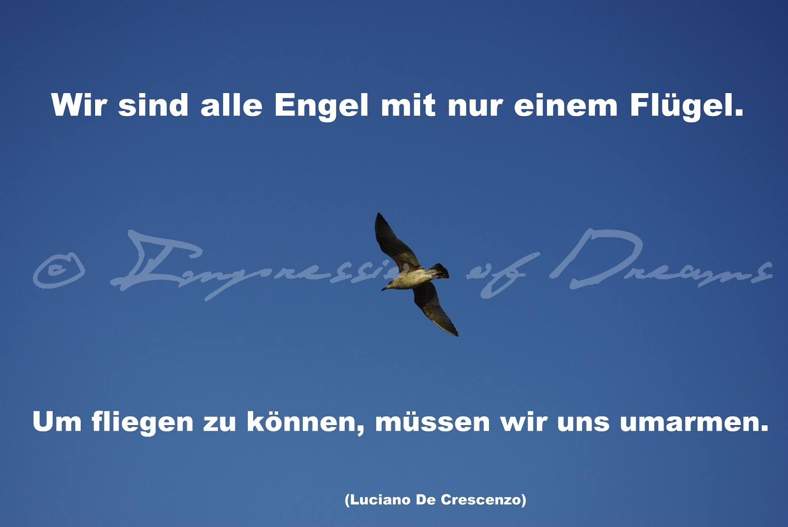 Lucciola Spruch des Tages 12.06.15