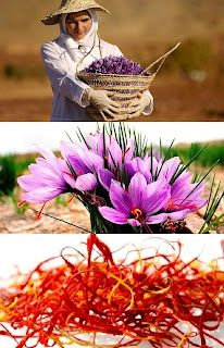 How to Grow Your Own Saffron Farming Business(জাফরান চাষ)
