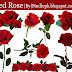 Red Rose Png Flower Image Free Download