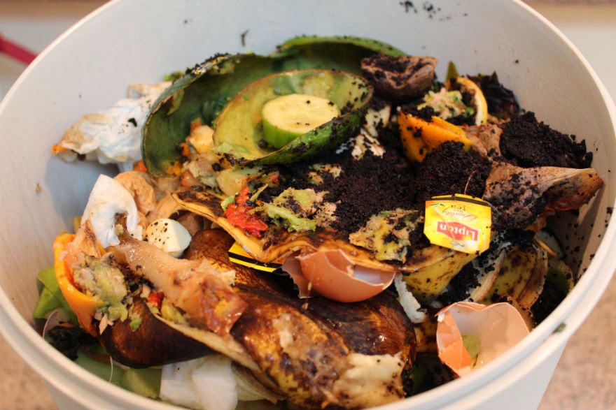 Postcards to France Composting