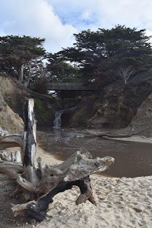 Driftwood in the foreground, small waterfall in a stream passing under a bridge at the beach, Half Moon Bay, California