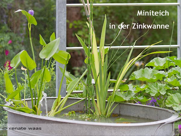 Ideen für den Garten - Wasserspiel mit Solarpumpe in der Zinkwanne - Miniteich, Wasser auf der Terrasse oder dem Balkon