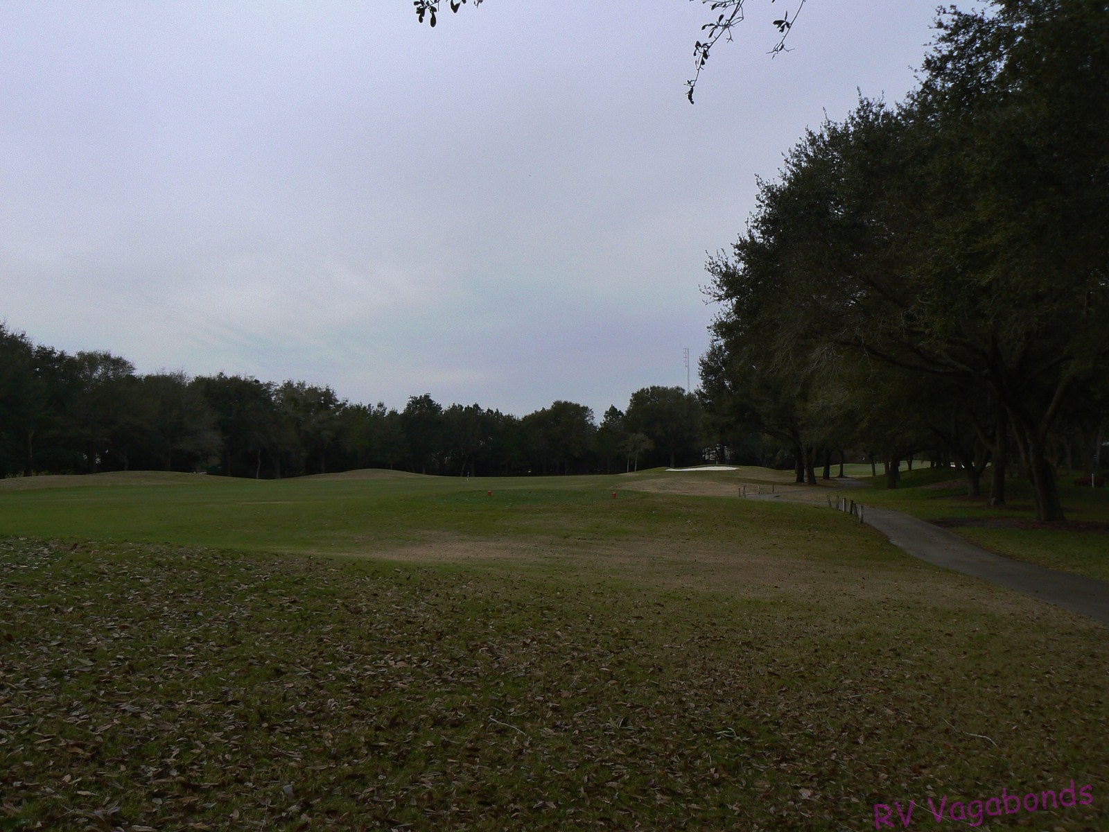 Two GolfersOne Pension Halifax Plantation Golf Club, Ormond Beach, FL
