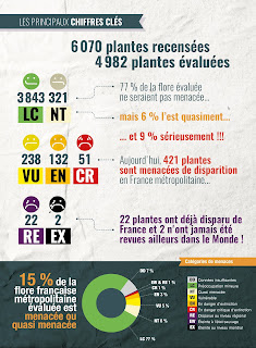 Crédit : Réseau des CBN, source : UICN France, FCBN, AFB & MNHN