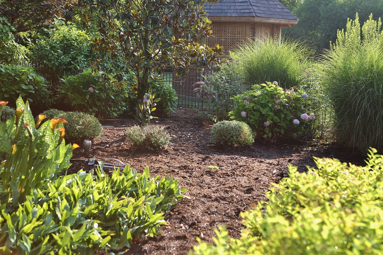 Rattlebridge Farm: Butterfly Bushes in the Memory Garden