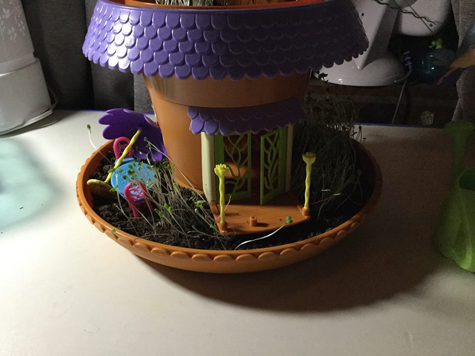 my fairy garden toys r us