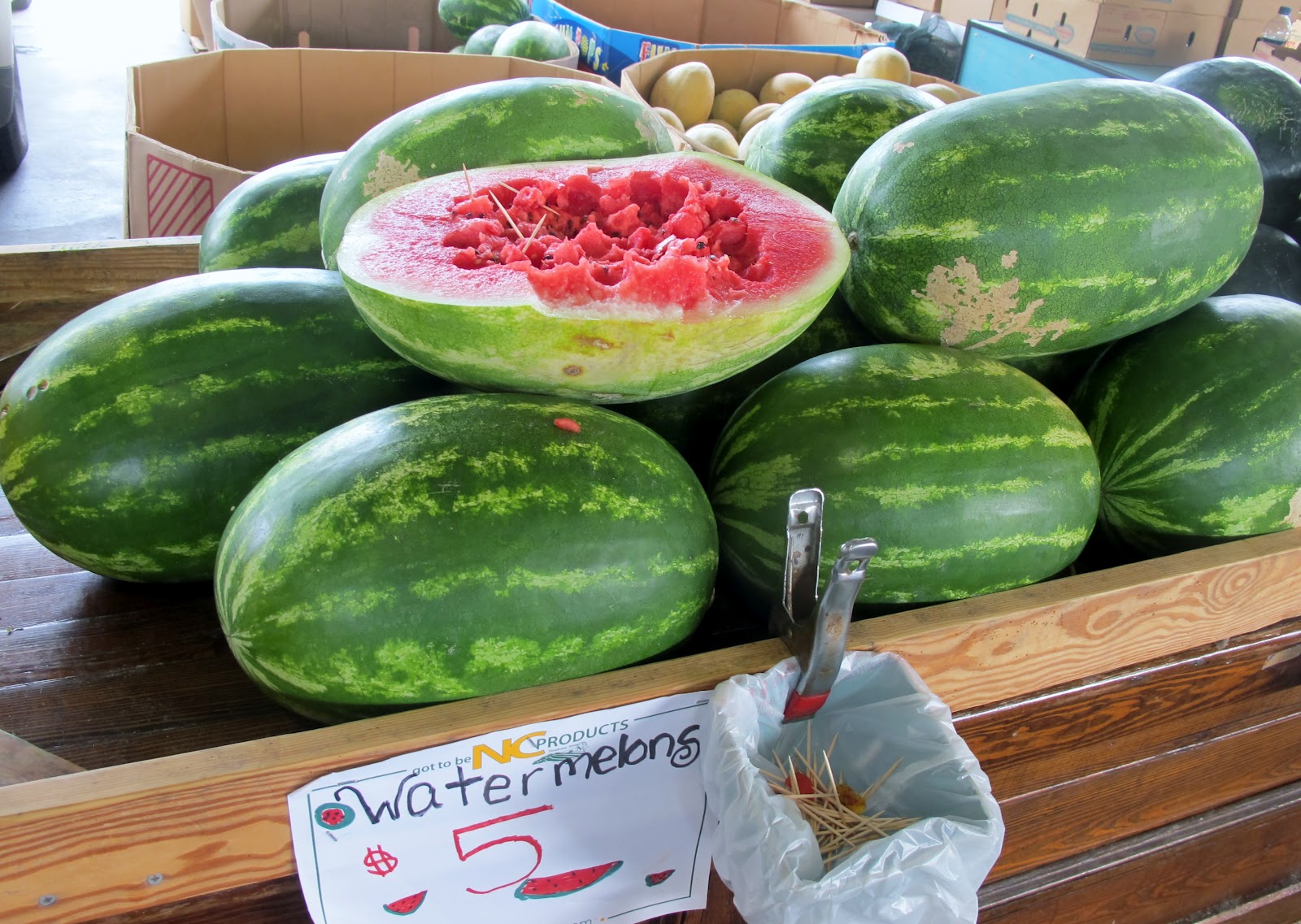 NCSU PDIC Bacterial Fruit Blotch of Watermelon