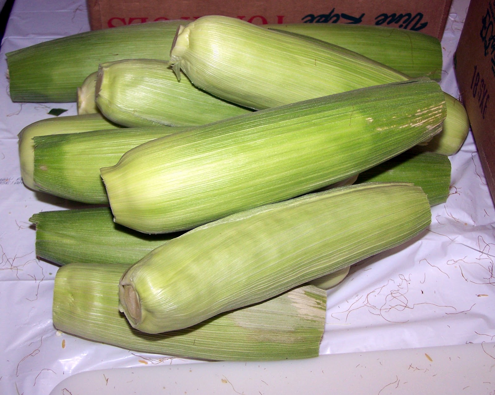 Vacuum Sealing Corn on the Cob with Husks On