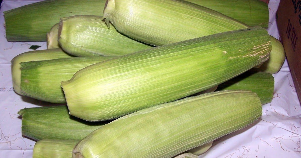 Vacuum Sealing Corn on the Cob with Husks On