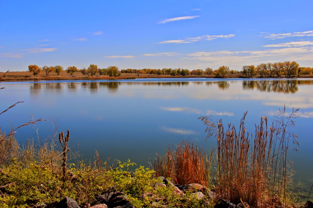 Rocky Mountain Arsenal National Wildlife Refuge Lake Ladora Loop