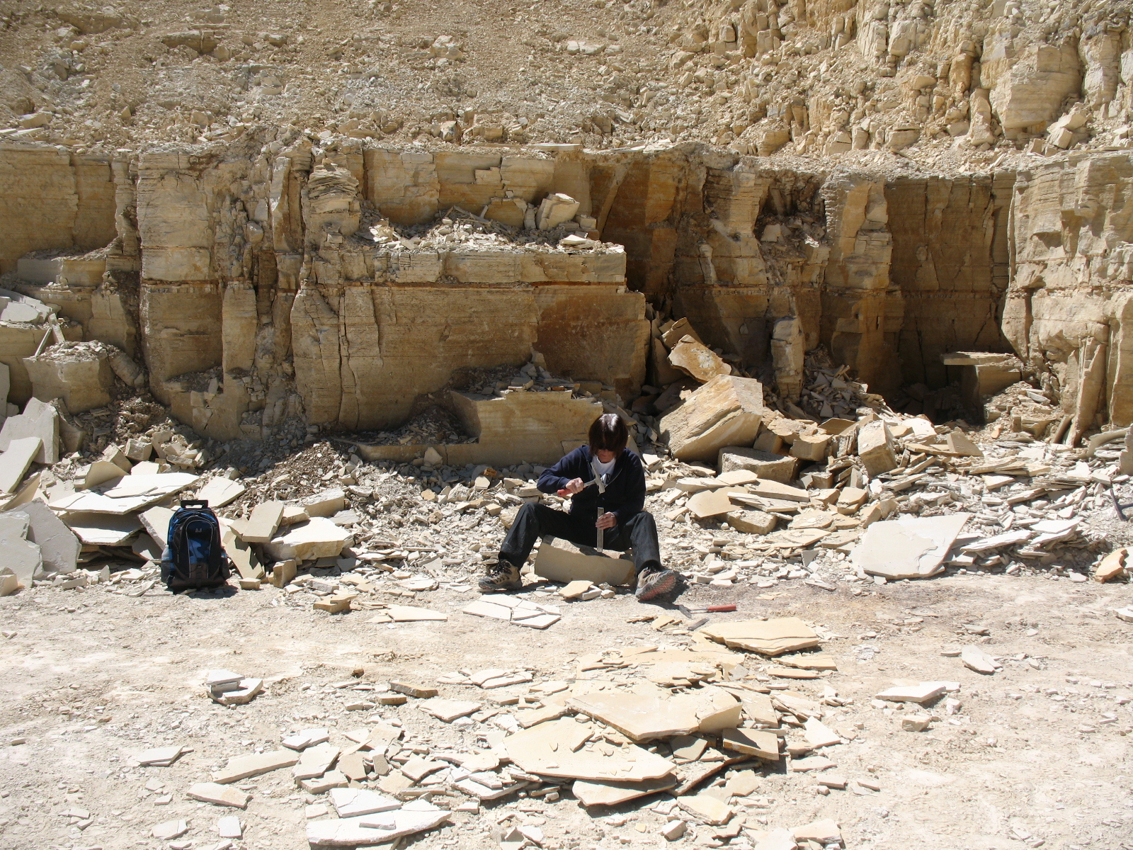 Doing It On The Road(Part II) A Day of Fossil Collecting at the