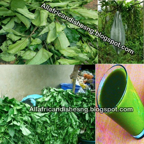 ALL AFRICAN DISHES HEALTH BENEFITS OF UGU (PUMPKIN) LEAVES