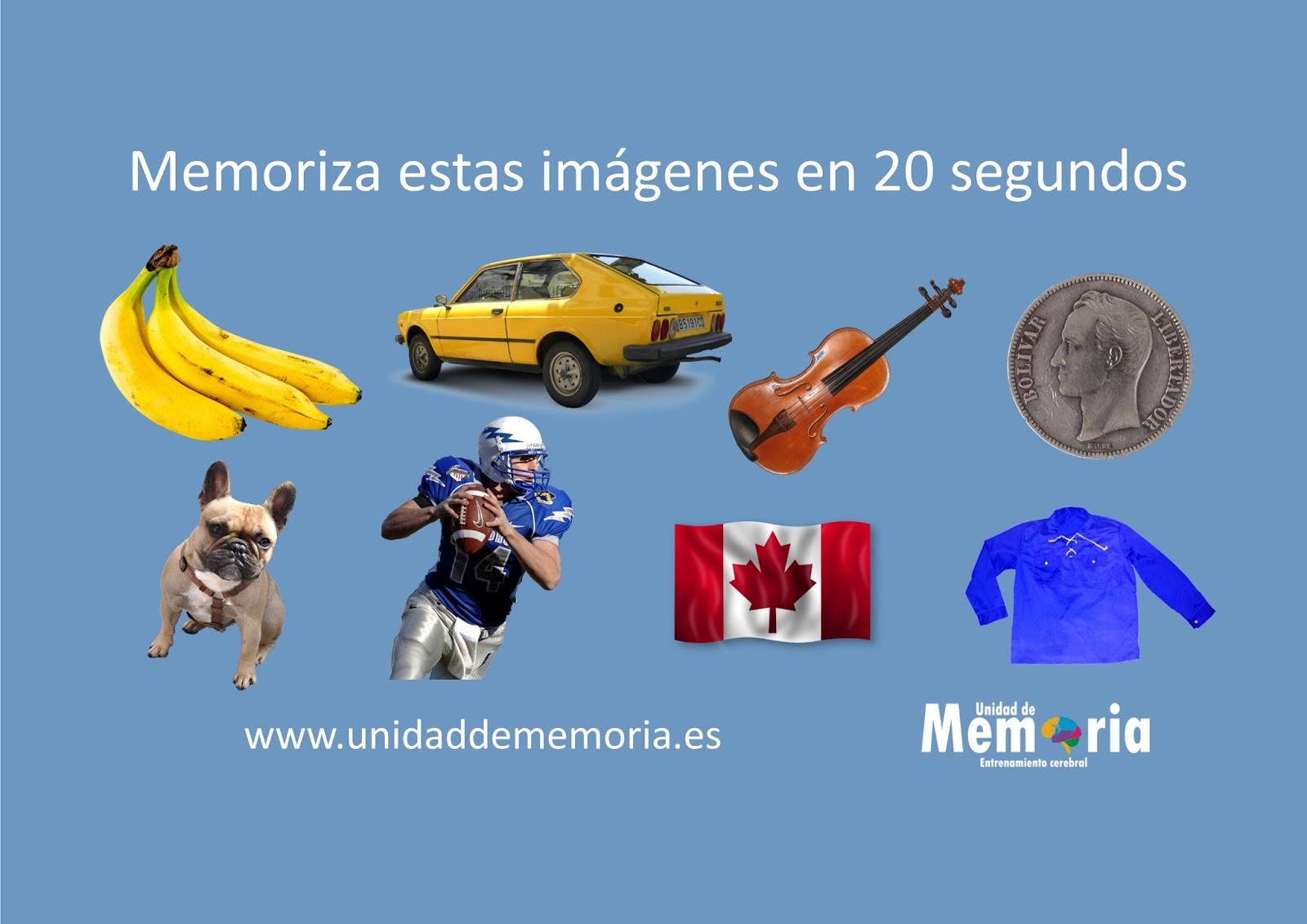 Unidad de Memoria Entrenamiento Cerebral Ejercicio de Memoria y Categorización ¡Pon a prueba tu Unidad de Memoria Entrenamiento Cerebral Ejercicio de Memoria y Categorización ¡Pon a prueba tu