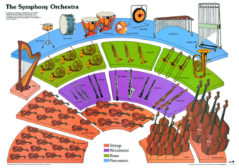 Luisa @ Glenbrae School: Parts of an Orchestra