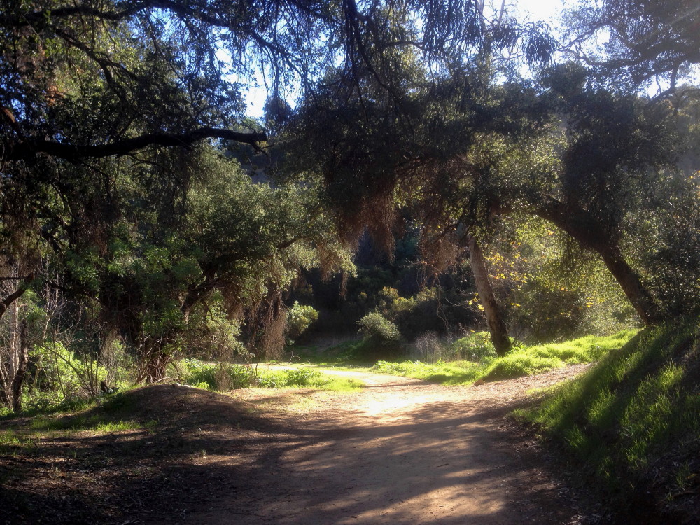 Dan's Hiking Blog Beacon Hill and Glendale Peak in Griffith Park Feb
