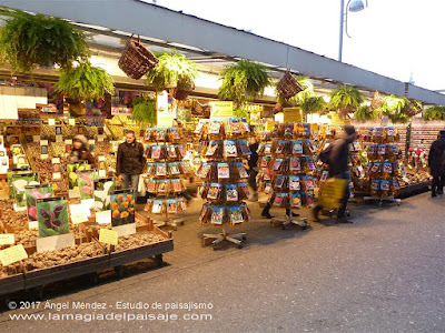 Mercado de las flores en Amsterdam