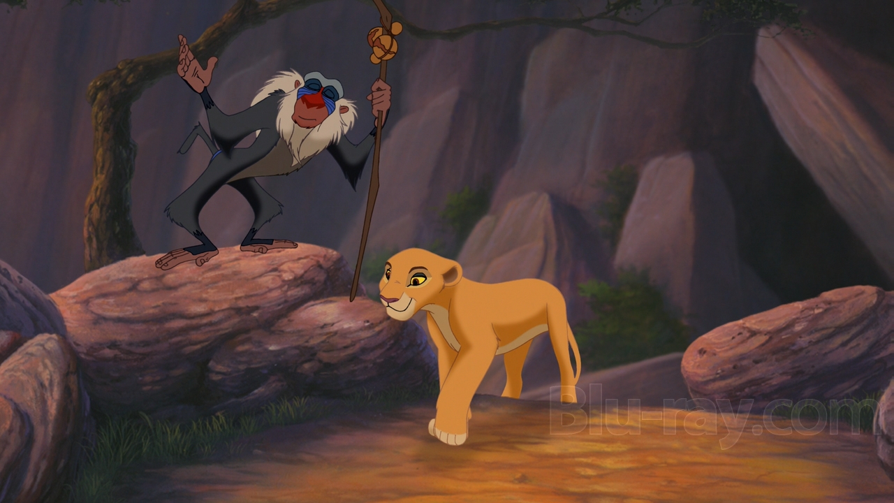 Nala fitness. Симба Король Лев гордость Симбы. Король Лев 2 гордость Симбы Киара. Король Лев 1998. Король Лев гордость Симбы мультфильм.
