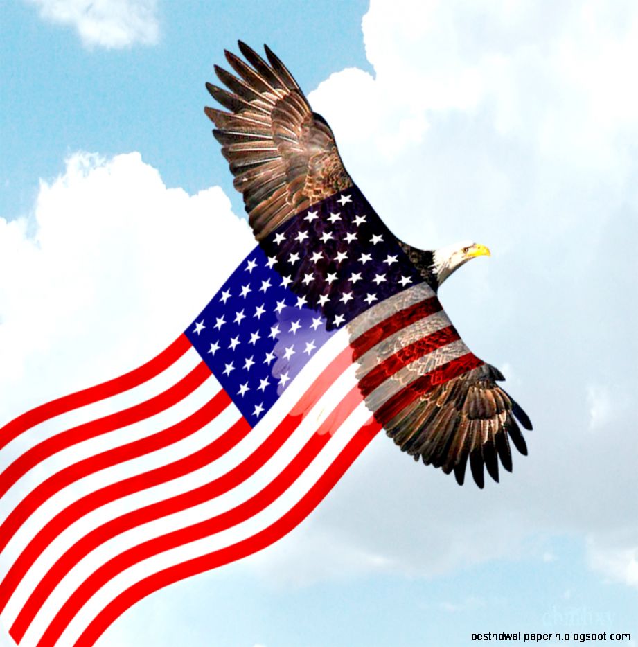 Flying Bald Eagle with American Flag