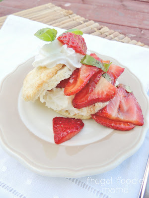 Soft, moist homemade shortcakes are topped with a sweet & tangy strawberry basil topping in these perfect for summer Strawberry Basil Sour Cream Shortcakes.
