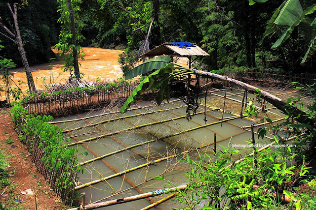 Saung di pinggir sungai Citanduy Saung di pinggir sungai Citanduy