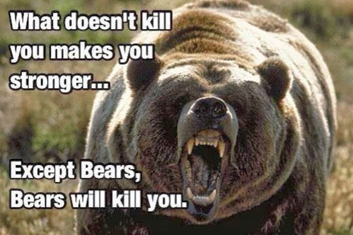 bears_will_kill_you..jpg