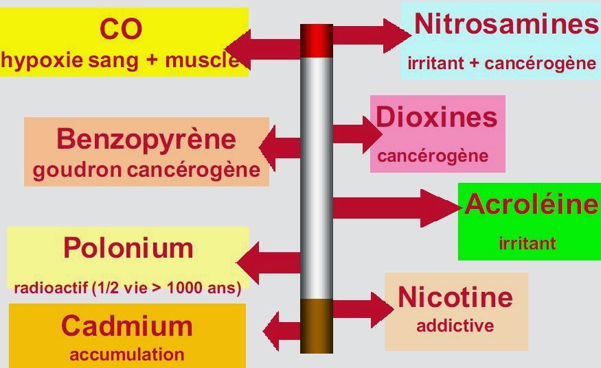 Exposé Sur Le Tabac Et Ses Dangers Pdf Cours,Exercices ,Examens – TJET