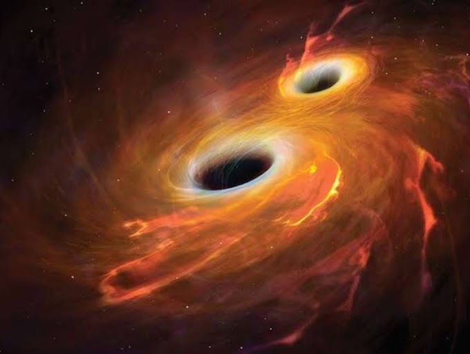 The Black Hole 