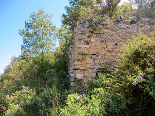 Castell de Carbonera. Benicadell, Otos