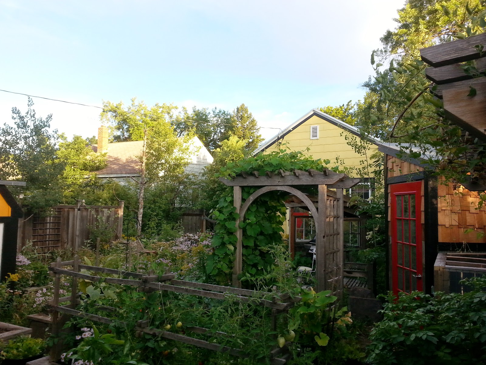 Montana Wildlife Gardener Progress on the Project List chicken coop
