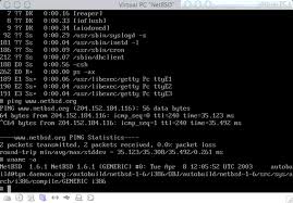 History of All Logos: All NetBSD Foundation Logos