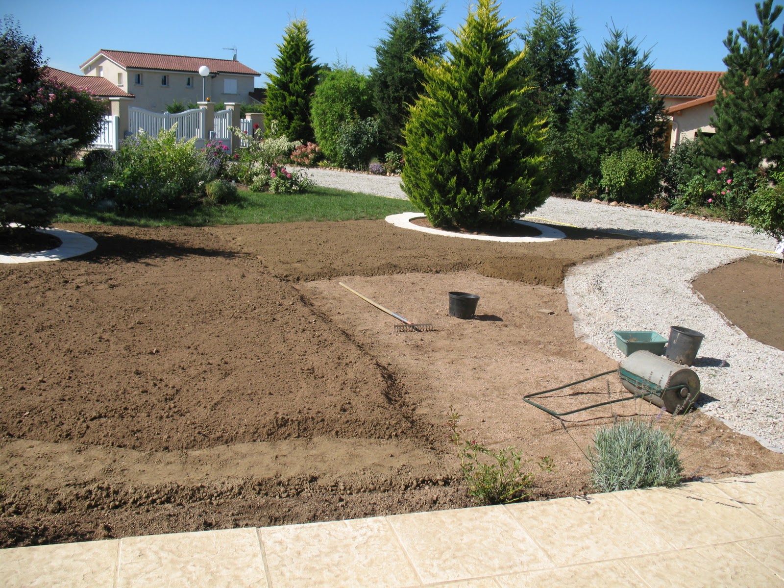 Roses du jardin Chêneland Pelouse "revue et corrigée"