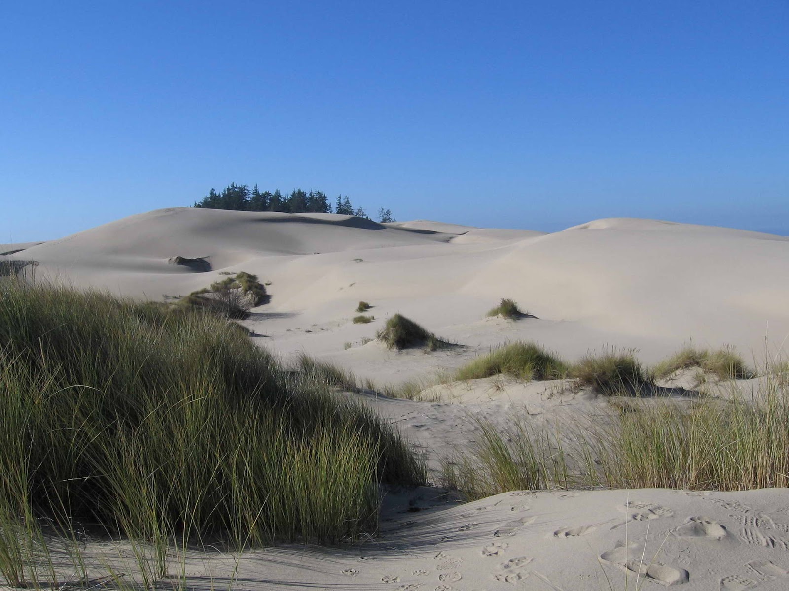 Por qué hay que proteger las dunas de las playas | Semanario Primer Día