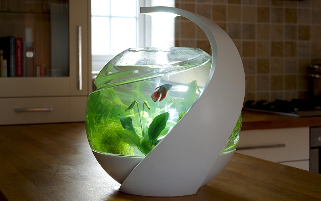 15 Coolest Aquariums For You.