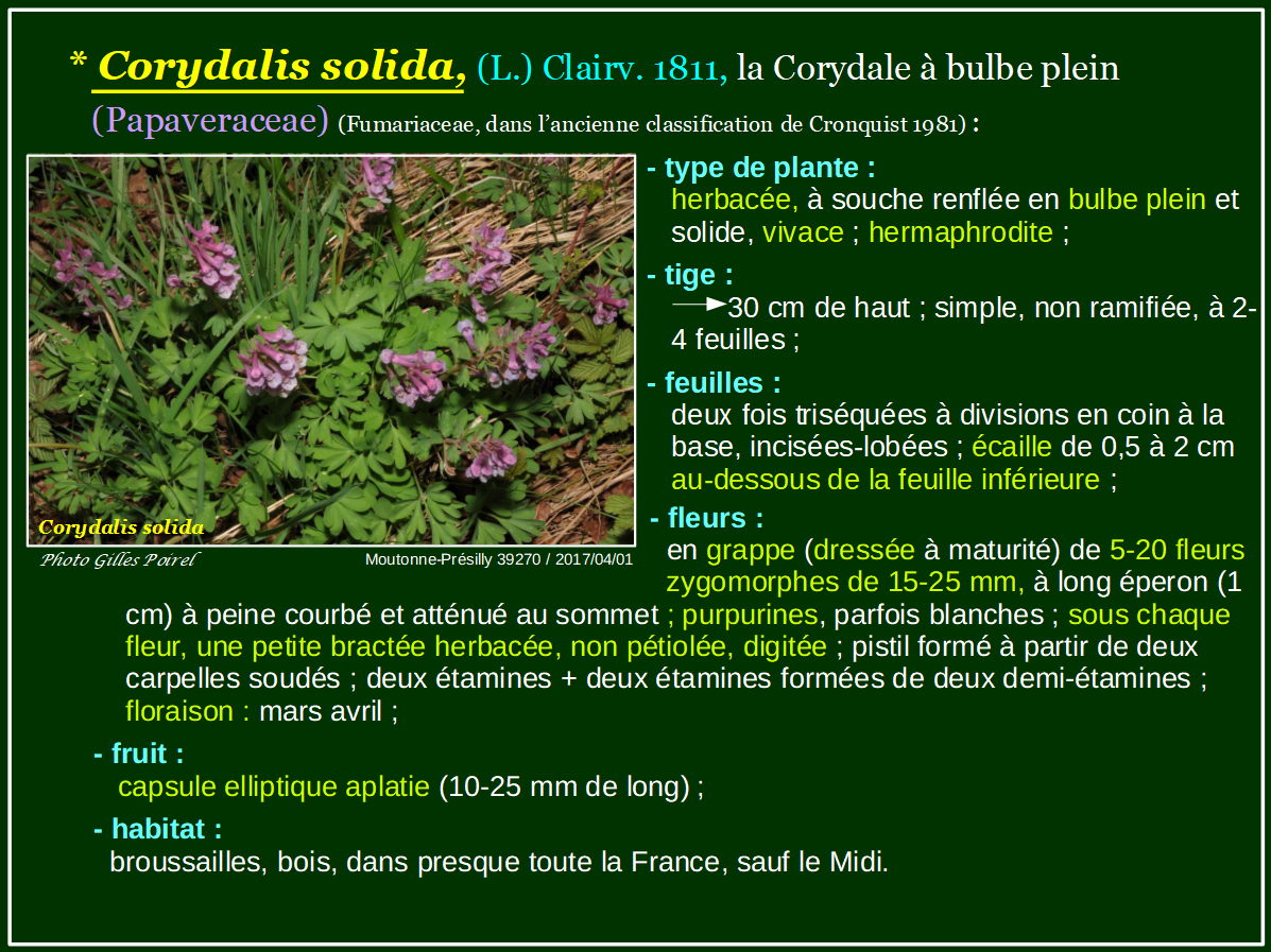 SHNJ. SOCIÉTÉ D'HISTOIRE NATURELLE DU JURA et des Amis de la Nature La