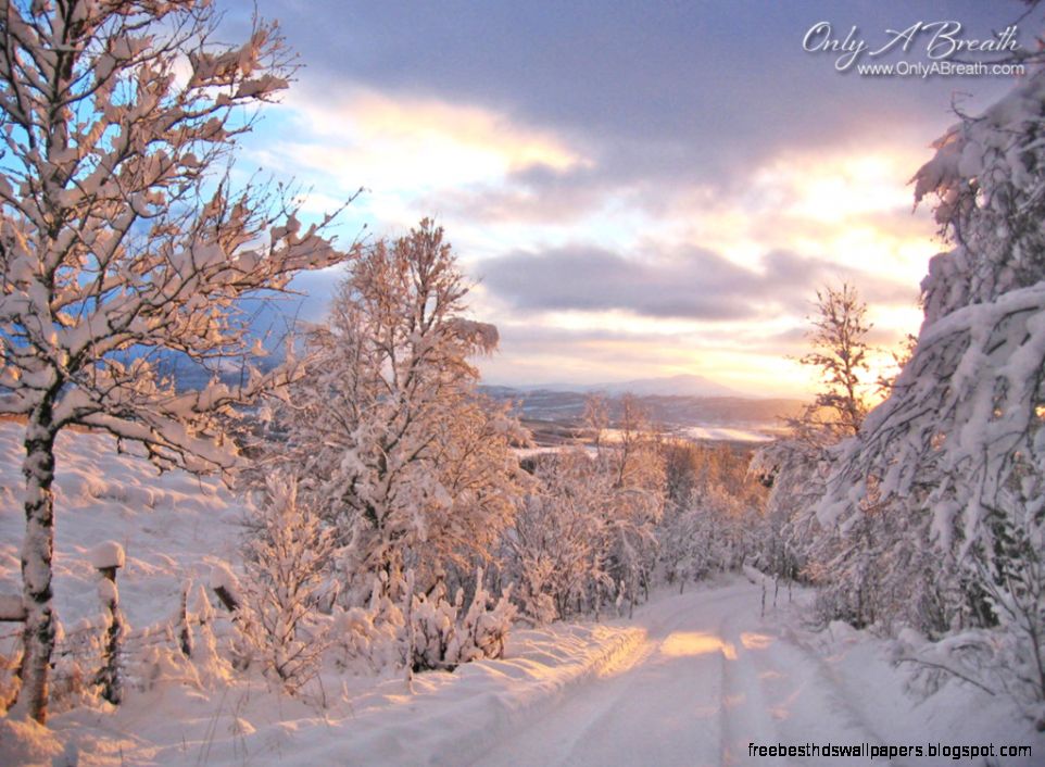 Bible Memory Verse Challenge And FREE Desktop Wallpaper   3