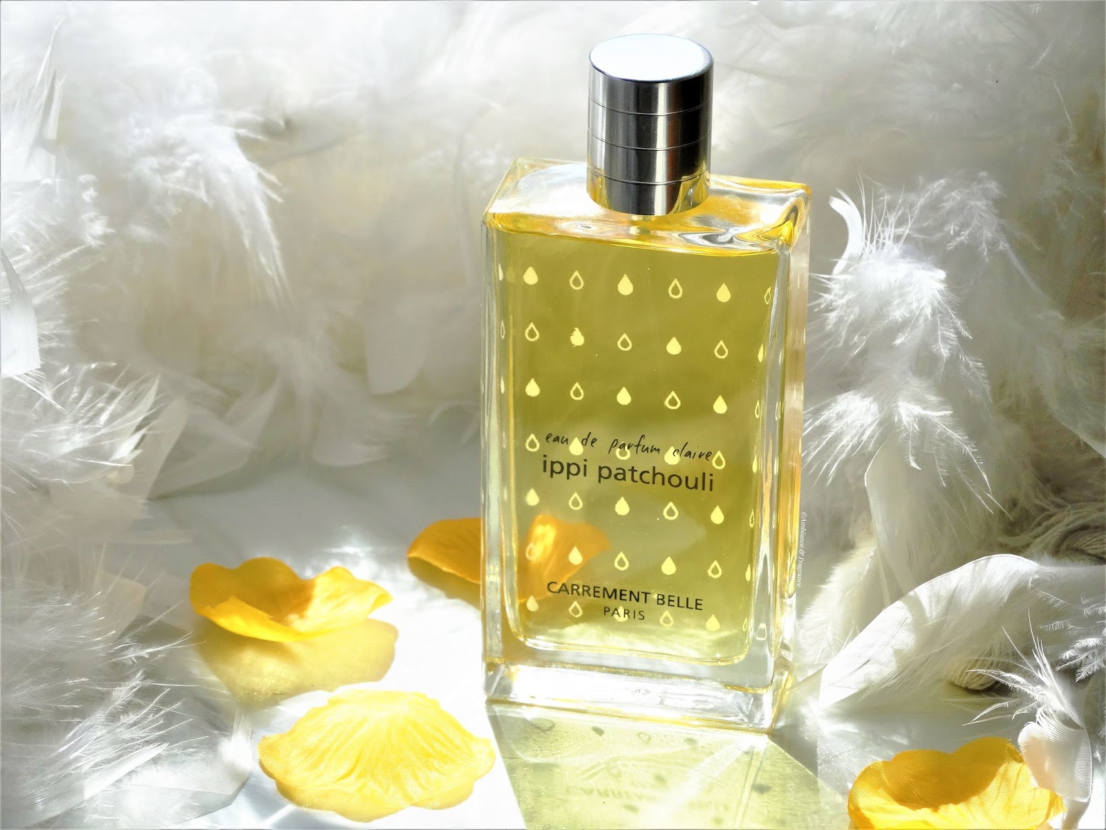 CARRÉMENT BELLE IPPI PATCHOULI [AVIS PARFUM]